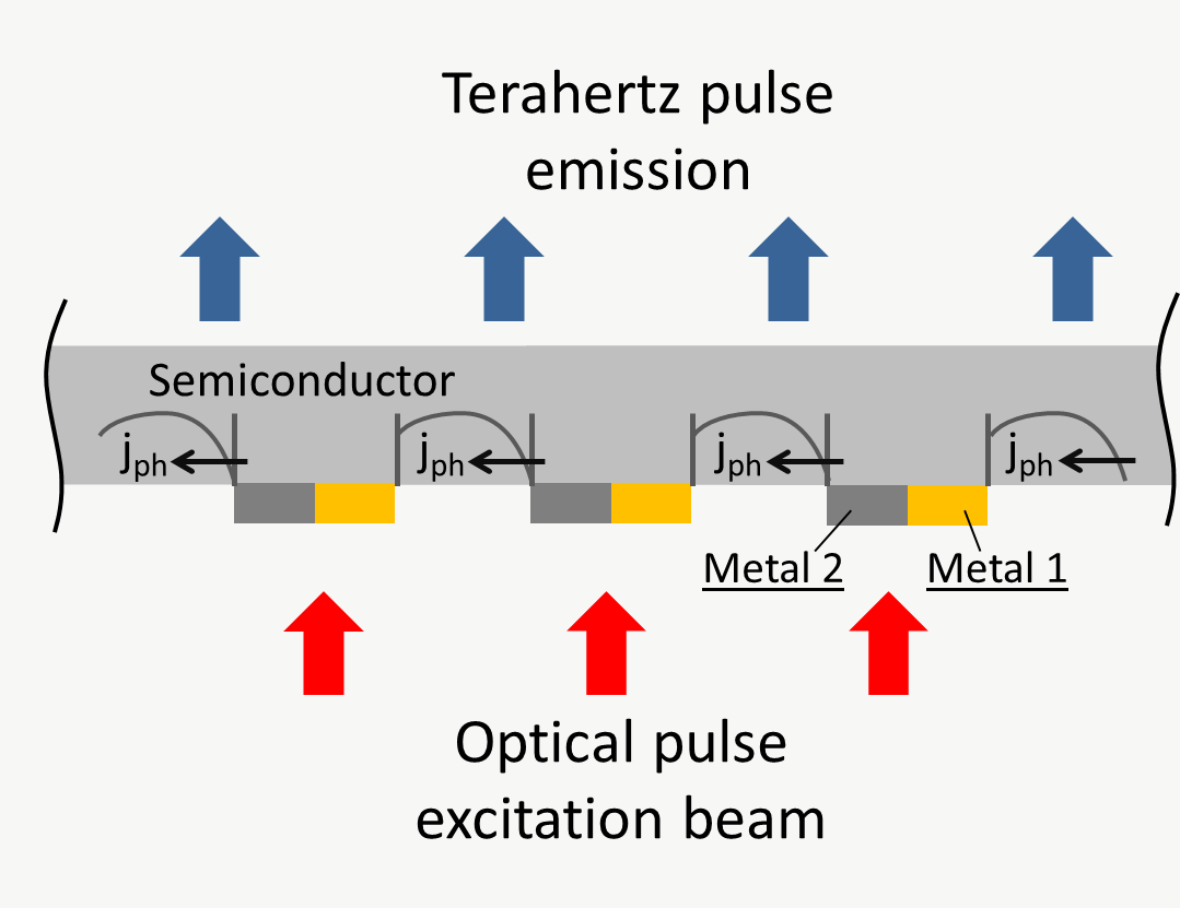 Schematic cross-section: semiconductor with a periodic grating of metal 1 and metal 2 stripes. Optical excitation pulses (red arrows) drive lateral photocurrents j_ph at the asymmetric metal/semiconductor junctions, all pointing in the same direction; THz pulses (blue arrows) are emitted.