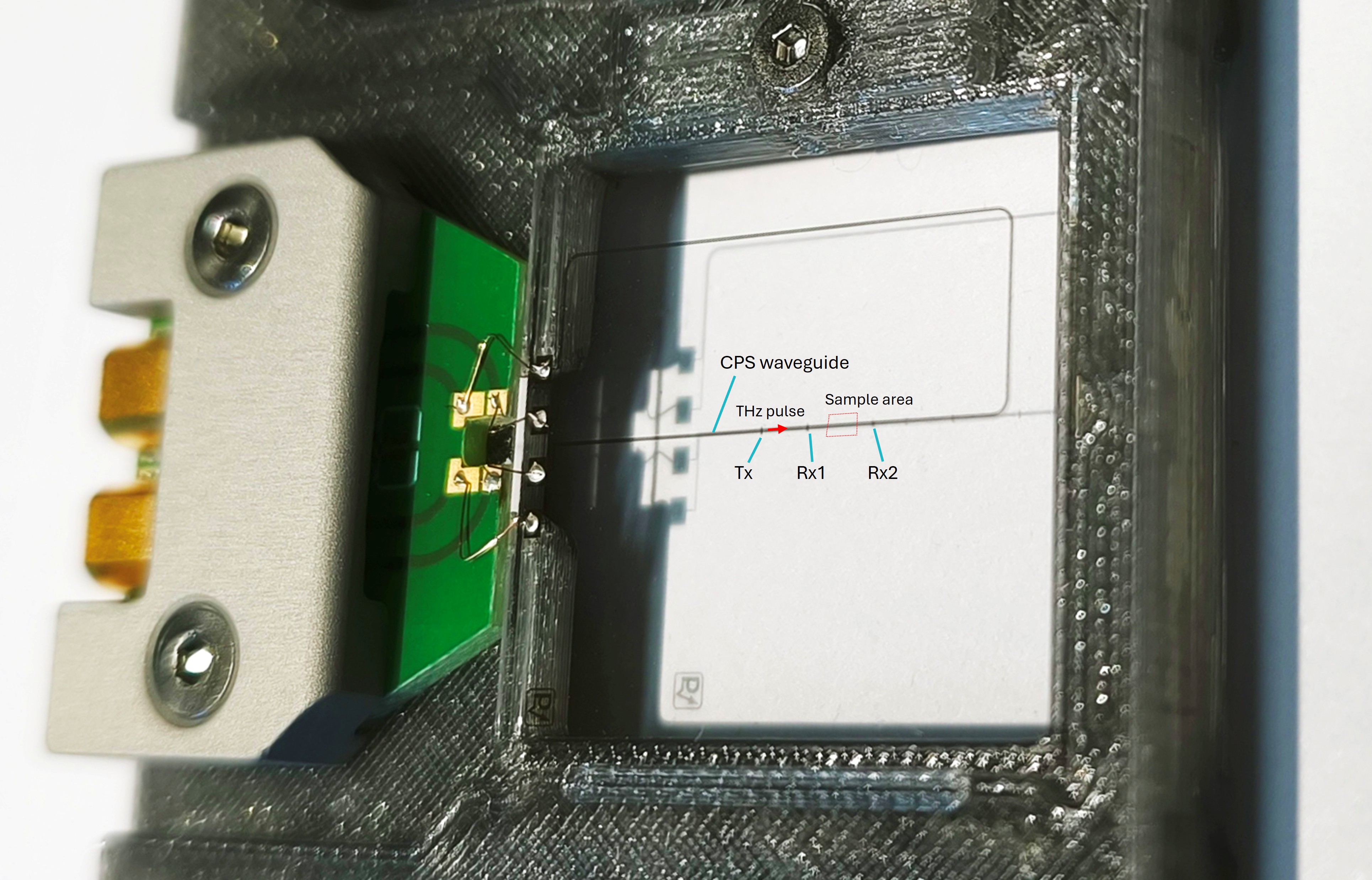 Close-up of a TeraLineX chip on its green carrier board with two gold SMP connectors. Annotations mark the emitter switch Tx, detector switch Rx1 before and Rx2 behind a 5 mm long sample area, and the path of the THz pulse along the stripline.